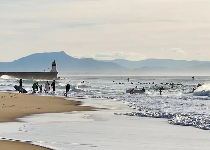 דירה Hossegor T2 6 Couchages Sud 100m Ocean *