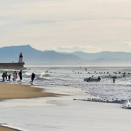 Apartment Hossegor T2 6 Couchages Sud 100m Ocean *